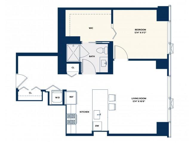 1 Bedroom 1 Bath In Chicago IL 60605 for Rent