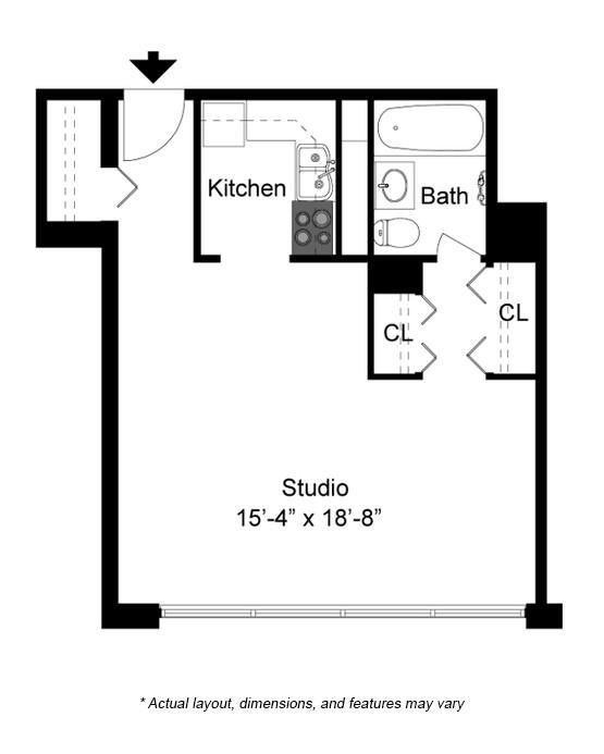 0 Bedroom 1 Bath In Chicago IL 60616 for Rent