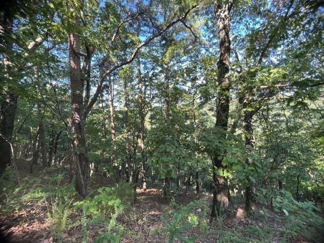In Holiday Island AR 72631 for Rent