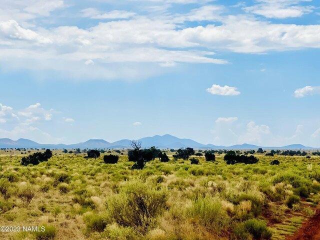 In Williams AZ 86046 for Rent