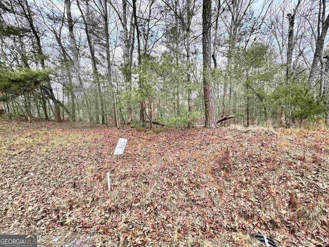 In Ellijay GA 30540 for Rent