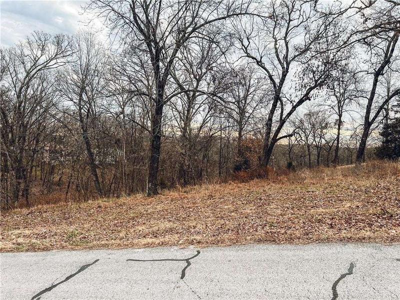 14995 Dutchmans DR, Rogers, AR 72756  614446508 for Sale