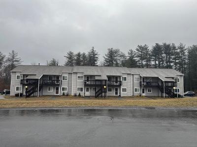 Park Place, Unit 306 Cranberry Ridge Condominium for Sale