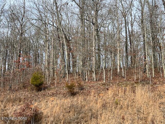 519 Grande Vista Drive, Rockwood, TN 37854 for Sale
