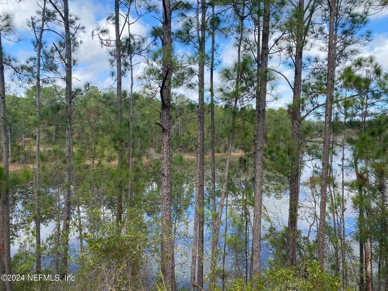 131 Lake Ray Road, Hawthorne, FL 32640 for Sale