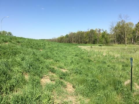 24 & 63rd Avenue, Cannon Falls, MN 55009 for Sale