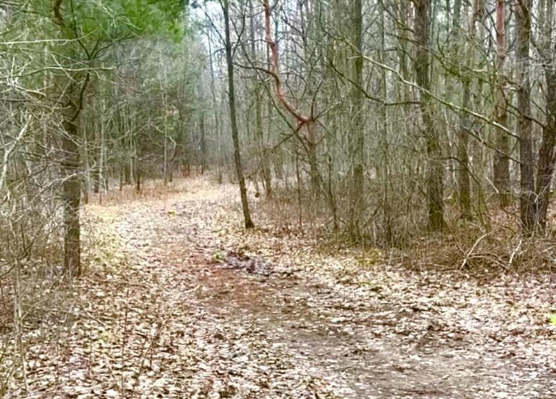 0 112 AVENUE, Nunica, MI 49448 Land For Sale  MLS# 23142976
