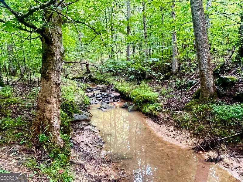 1130-lot 7 Apalachee Meadows Drive, Madison, GA 30650 for Sale