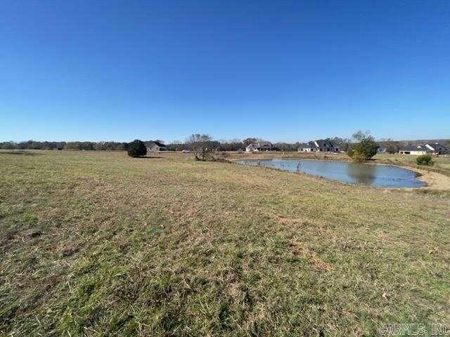 163 Irene Circle, Greenbrier, AR 72058  623864305 for Sale