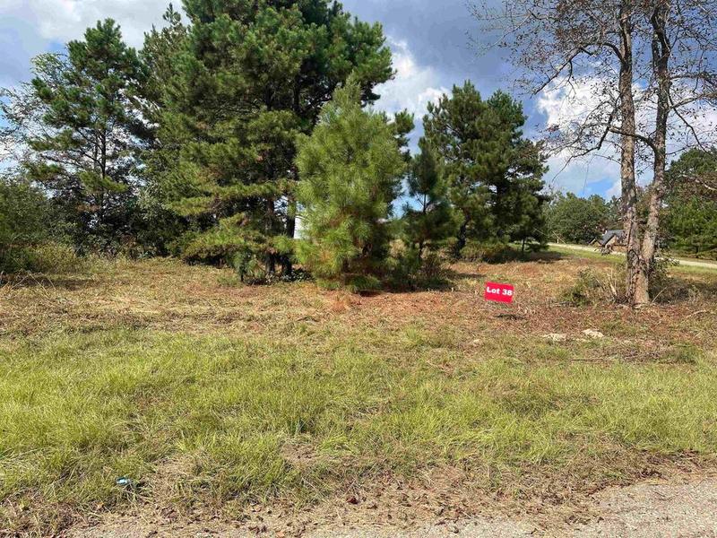 Tbd Lot 38 CR 2204 D & FM1797, Tatum, TX 75691 for Sale