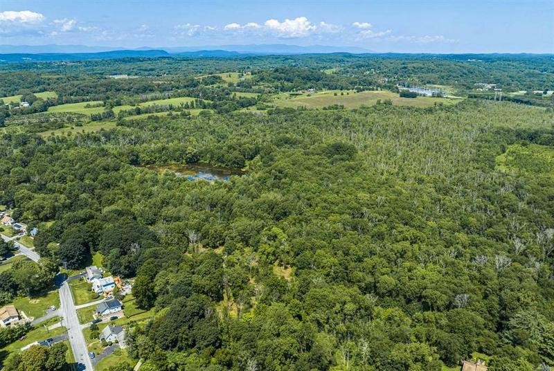 171 BOWER RD, Pleasant Valley, NY 12603 Land For Sale  MLS# HM418922