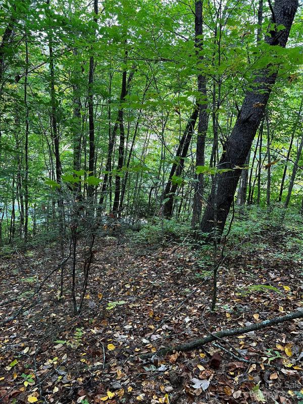 Tbd Canada Road, Tuckasegee, NC 28783 for Sale