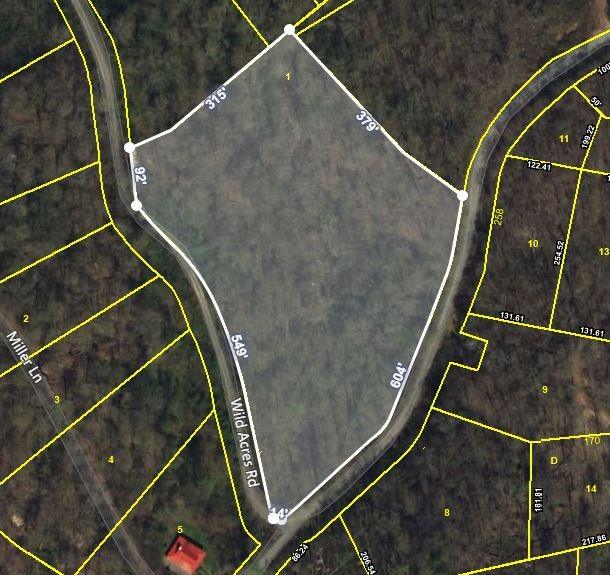 0 Schelley Road, Gainesboro, TN 38562 for Sale