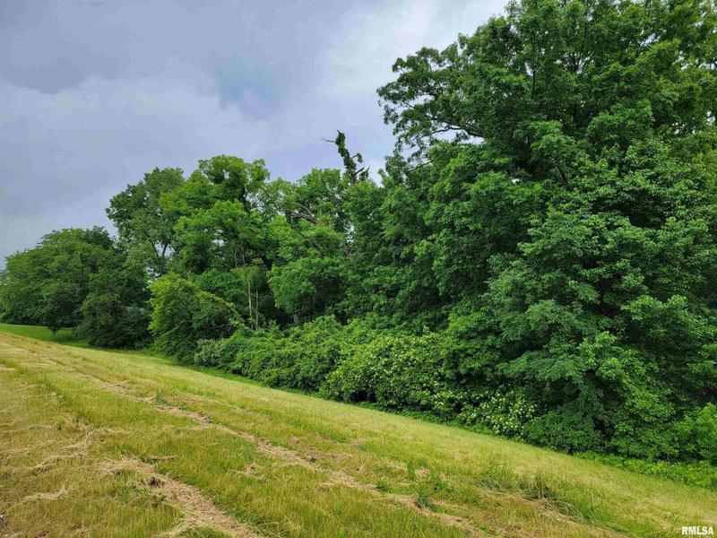 Moline, Rock Island County, IL Undeveloped Land, Homesites for sale Property ID: 418637916