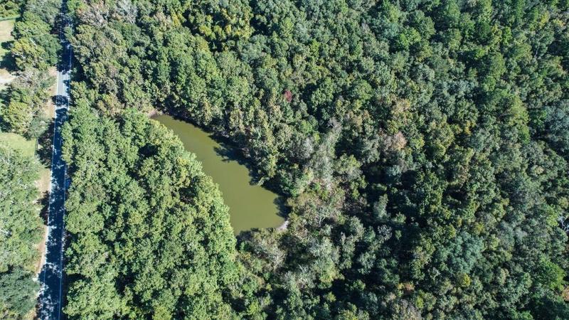 Tallahassee, Leon County, FL Undeveloped Land for sale Property ID: 418761422