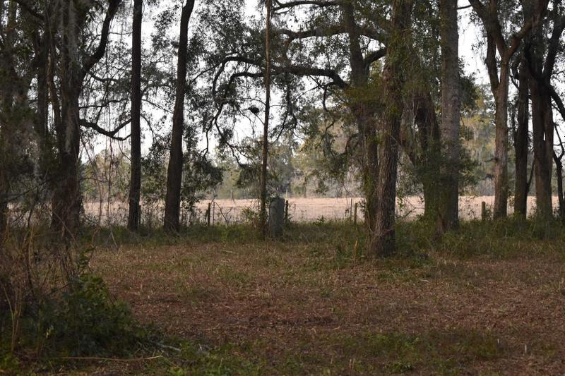 Monticello, Jefferson County, FL Undeveloped Land, Homesites for sale Property ID: 418691742