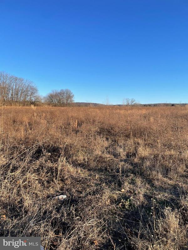 Lot 1 Jefferson Pike, Jefferson, MD 21755 for Sale