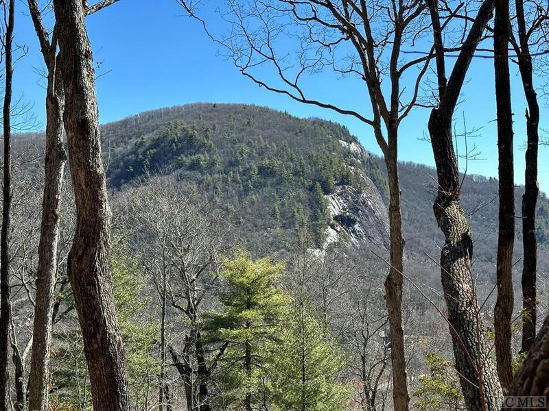 LOT 155 LONESOME VALLEY RD, Sapphire, NC 28774 Land For Sale  MLS# 103667