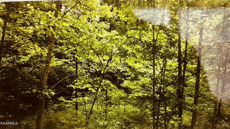 Sevierville, Sevier County, TN Undeveloped Land, Homesites for sale Property ID: 418899551