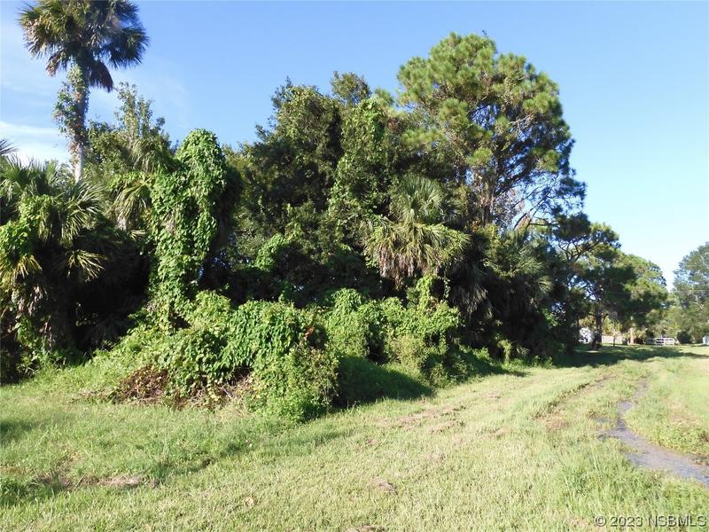 0 Woodland Drive, Edgewater, FL 32141 for Sale