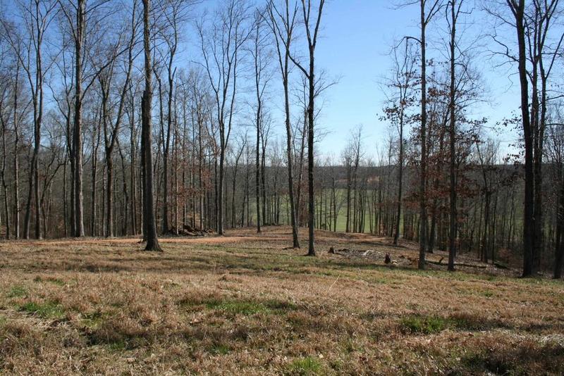 Poplar Springs Bargerton Rd, Lexington, TN 38351  MLS# 240637 for Sale