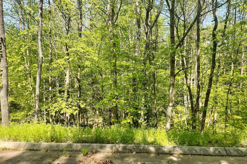 Easley, Pickens County, SC Undeveloped Land, Homesites for sale Property ID: 418775879
