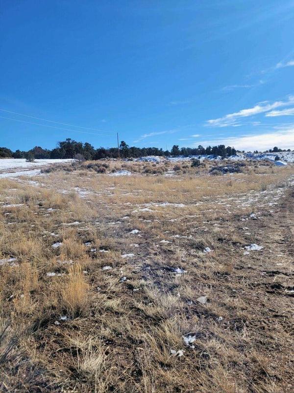 San Jose Trail, Regina, NM 87046  624159309 for Sale