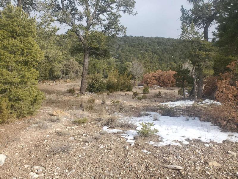 8 Teypana Drive, Tijeras, NM 87059  625251459 for Sale
