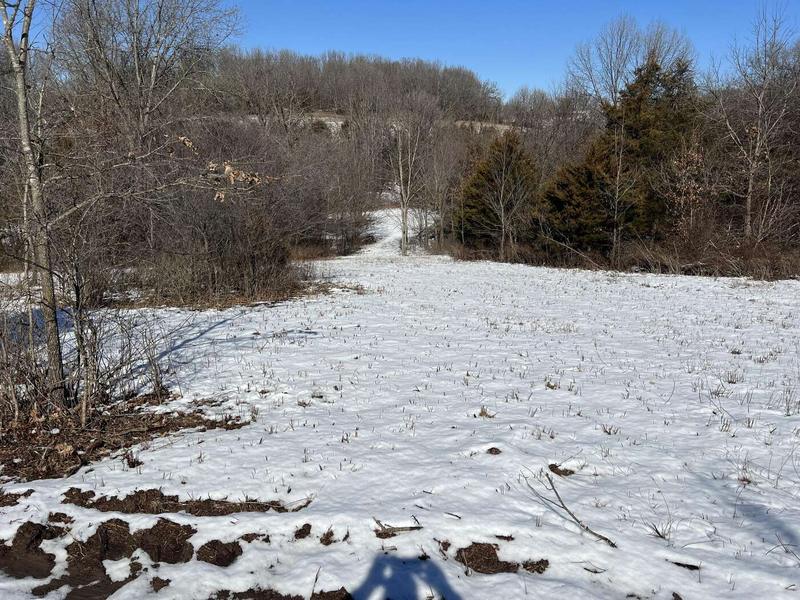 4b2 Gideon Cave Rd, Billings, MO 65610  624648435 for Sale