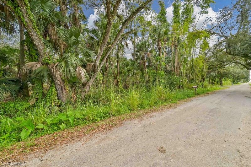 21941 Edwards Drive, Alva, FL 33920 for Sale