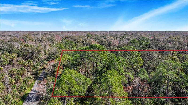 Davenport, Polk County, FL Undeveloped Land, Homesites for sale Property ID: 418876888