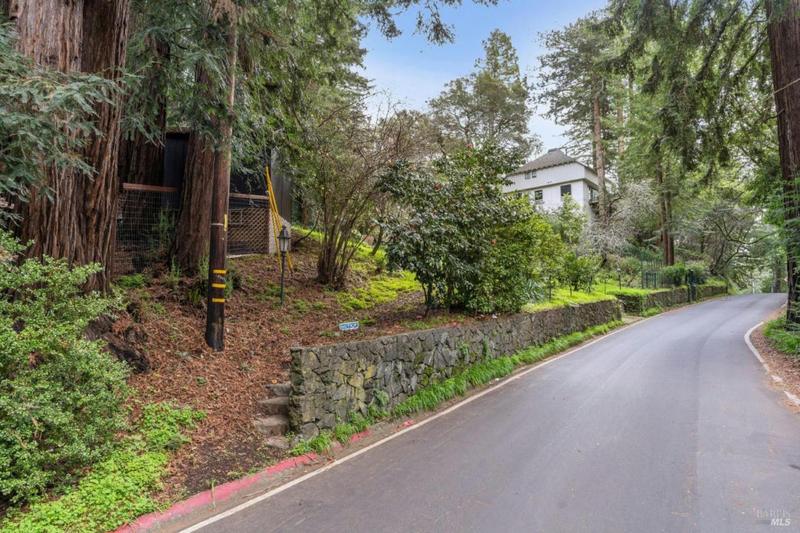 316 W BLITHEDALE AVE, Mill Valley, CA 94941 Single Family Residence For Sale  MLS# 324010034 for Rent