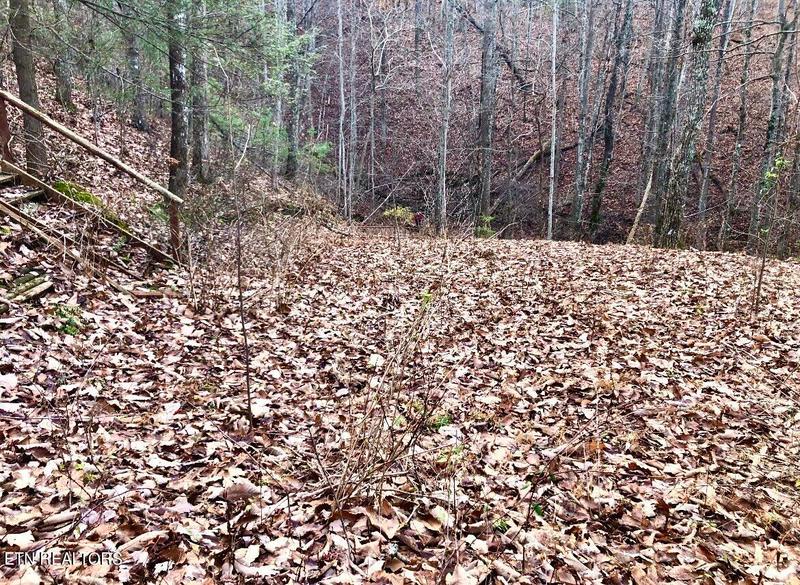 4159 Chamberlain Lane, Sevierville, TN 37862 for Sale