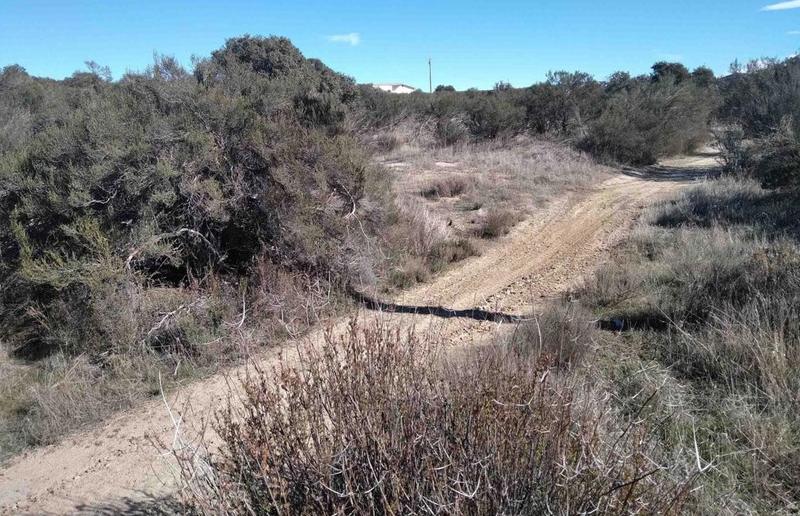40 Acres Hwy 94, Campo, CA 91906 - MLS PTP2305766 for Sale