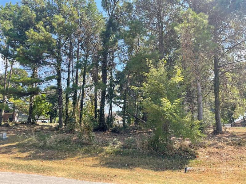 18 & 20 Harbour Point Cir, Coldspring, TX 77331 for Sale