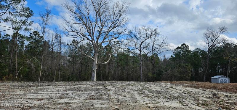 220 Mintz Cemetery Road Northwest, Ocean Isle Beach, NC 28469 for Sale