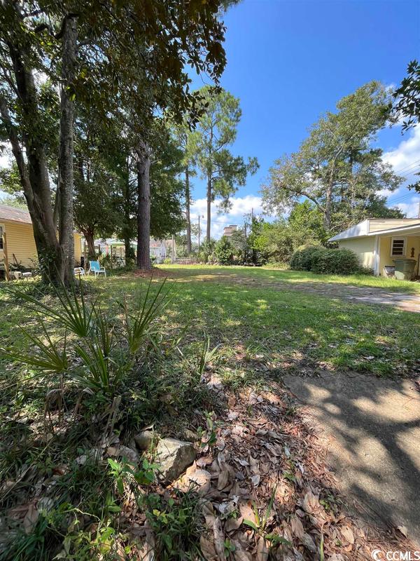 427 Queen Street, Georgetown, SC 29440 for Sale