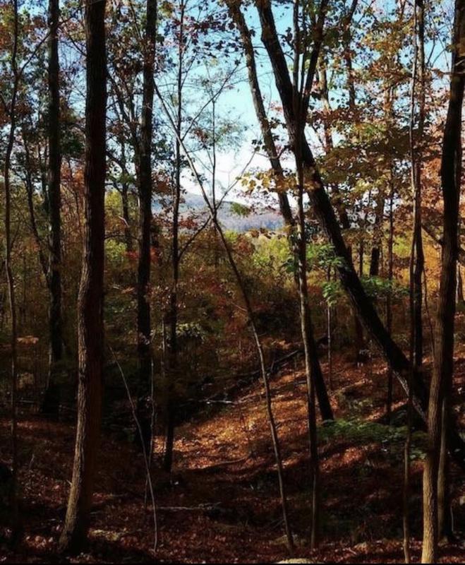 2047 Laurelburg Road, Rock Island, TN 38581 for Sale