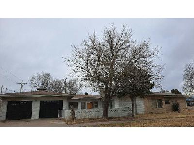 Pecan for Sale