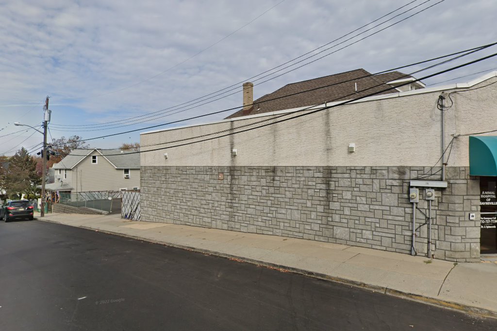 Animal Hospital of Sayreville