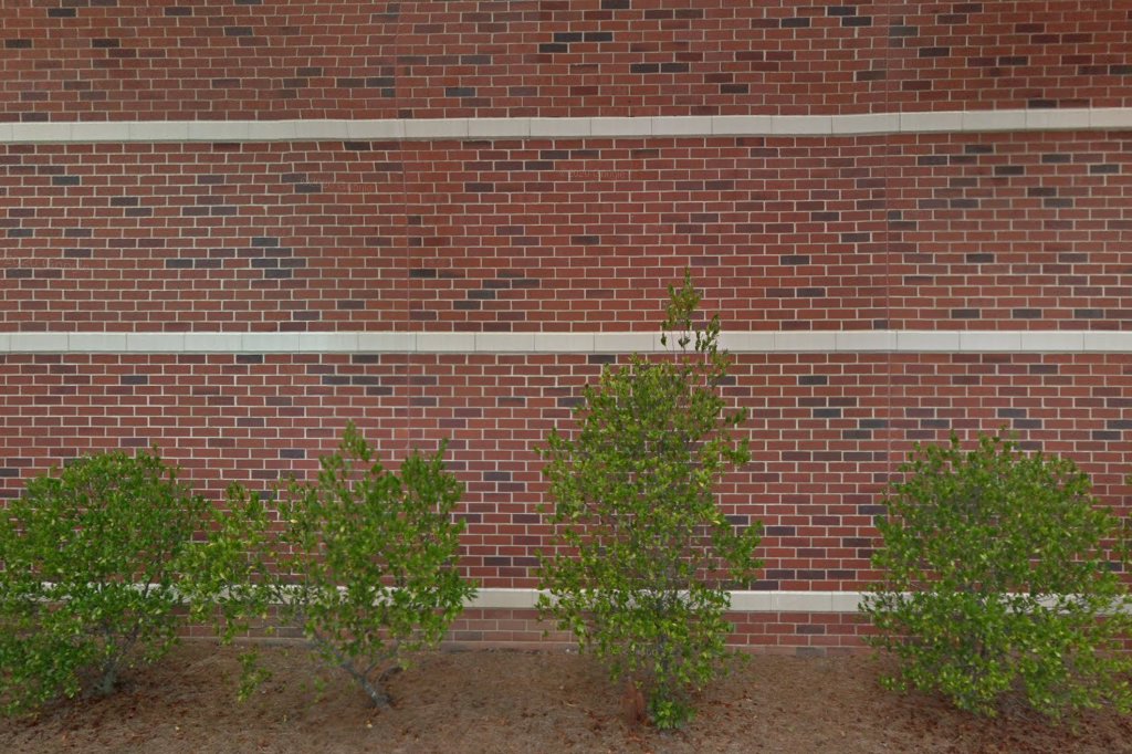 Berry Middle School