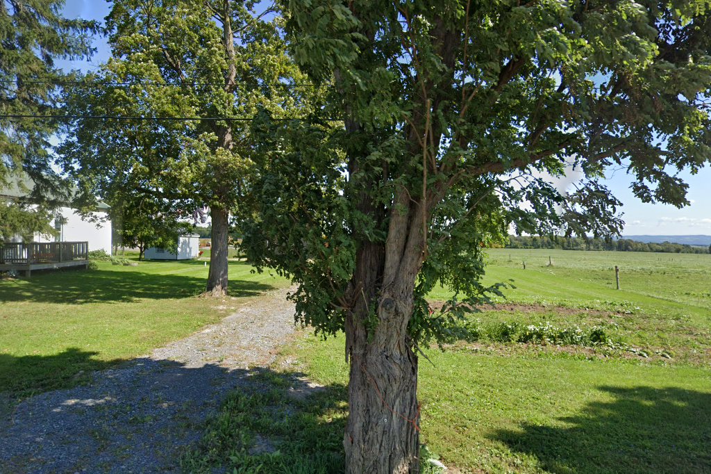 Torrey Ridge Mennonite School
