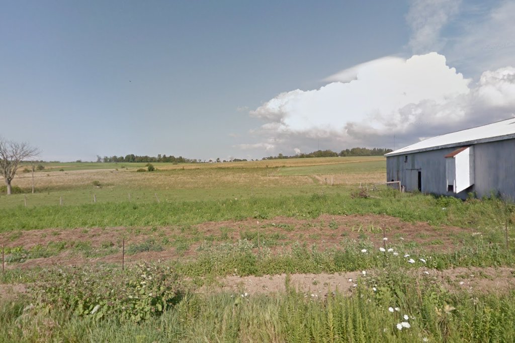 Burdick Rd Amish School