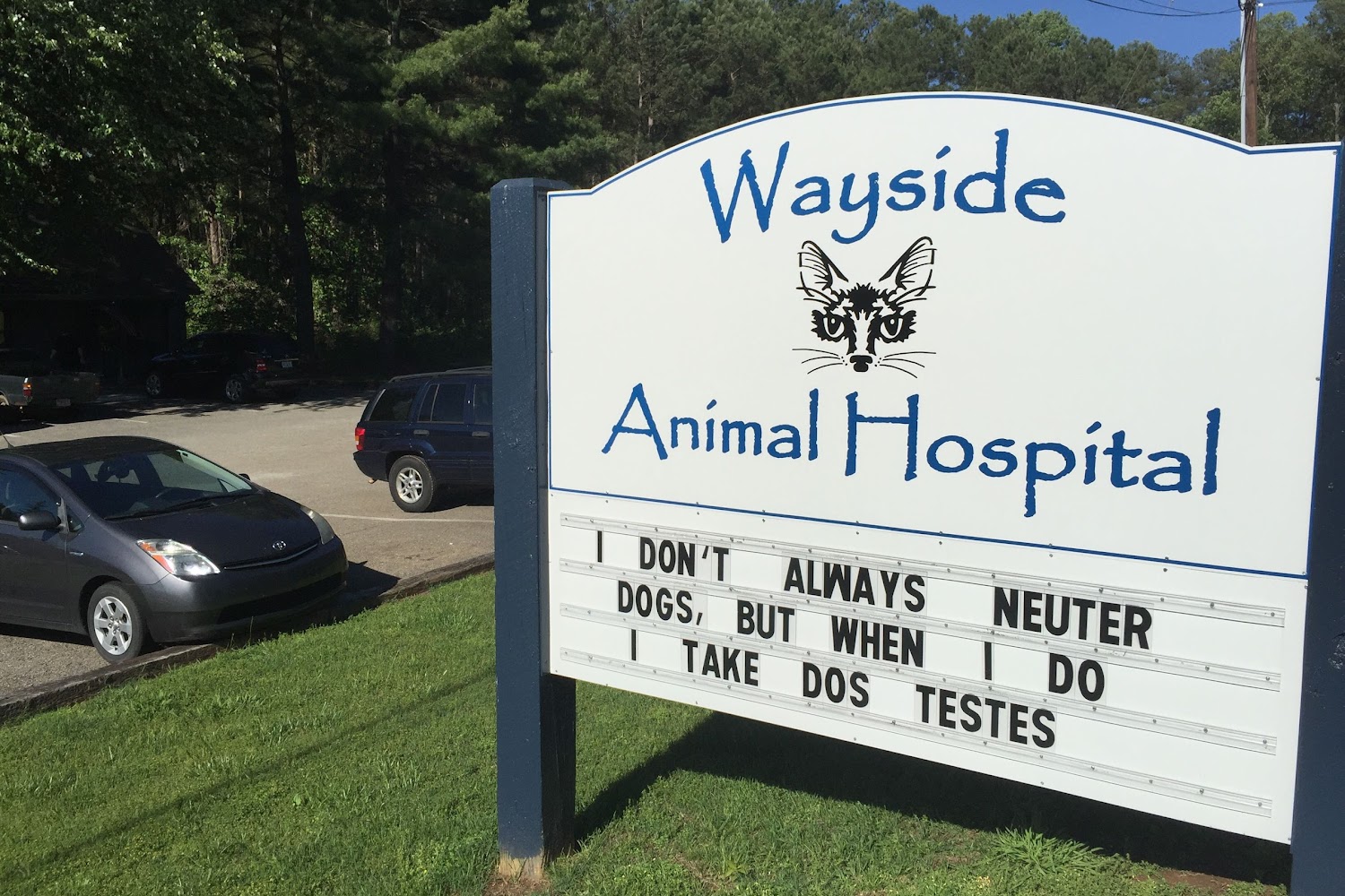 Wayside Animal Hospital