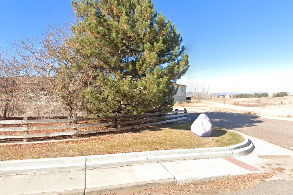 Saddle Ranch Elementary School