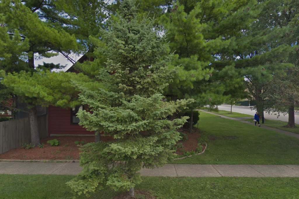 Roy Elementary School