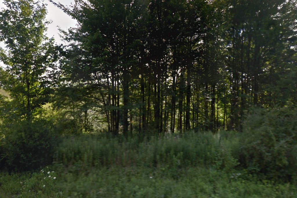 Pleasant View Amish School
