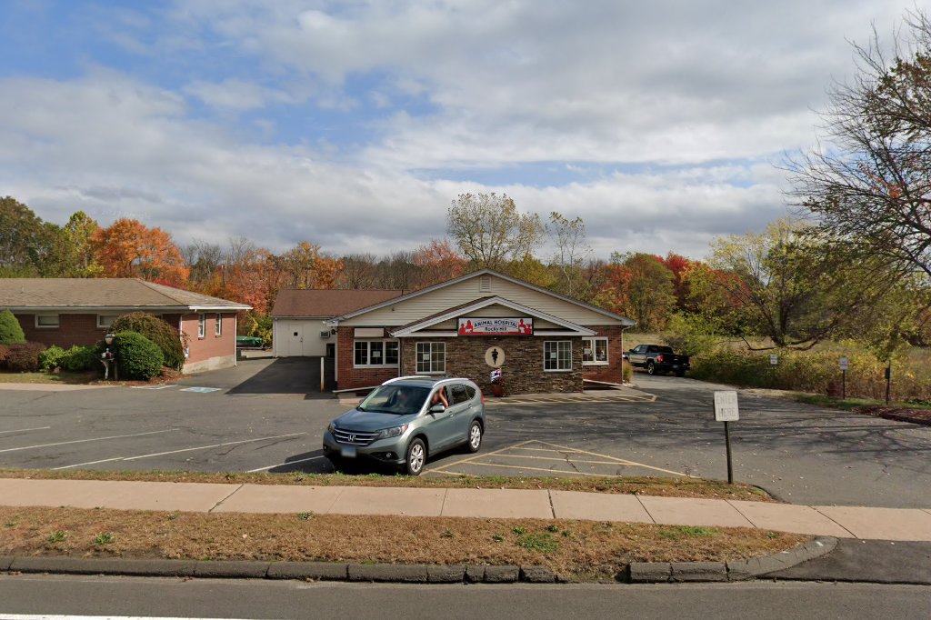 Animal Emergency Hospital of Central Connecticut