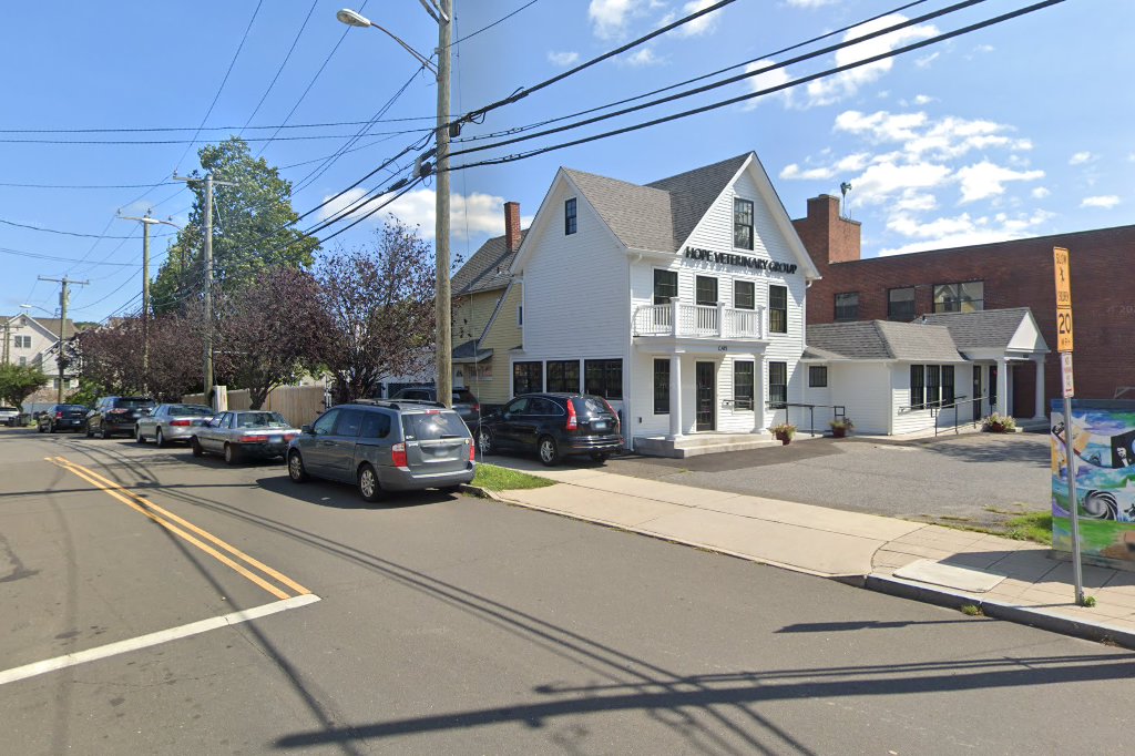 Stamford & Springdale Animal Hospital