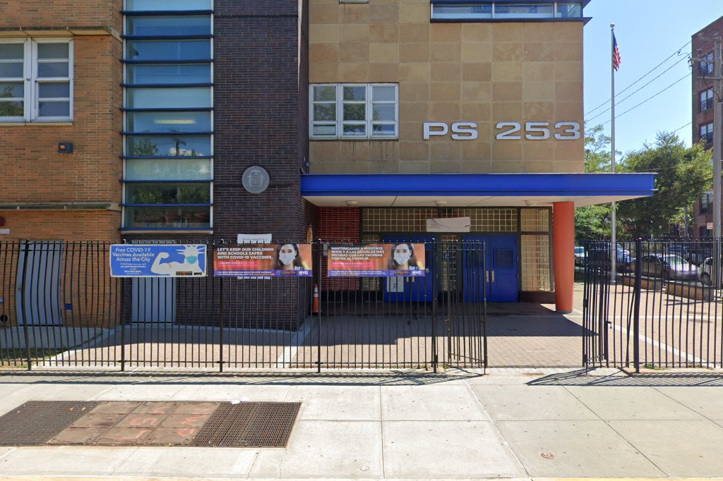 PS 253 School